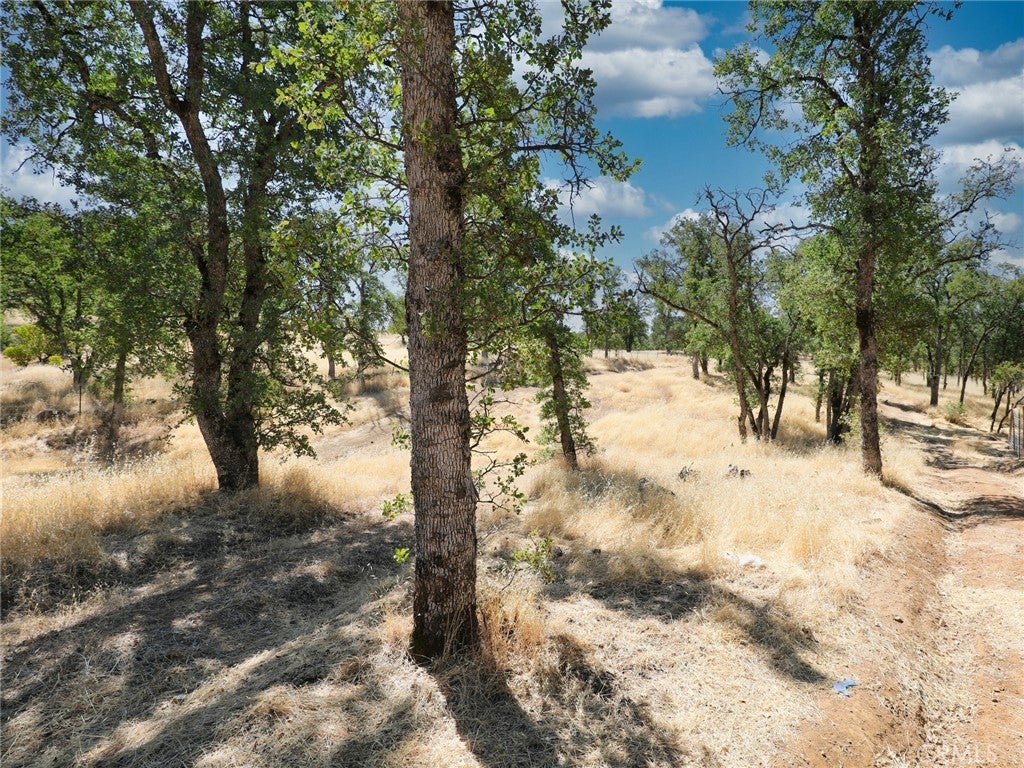 Photo of Listing #LC25180369