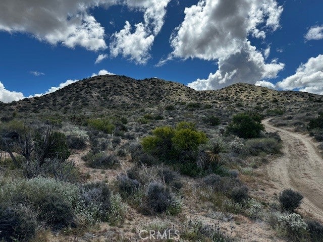 Photo of Listing #JT25188299