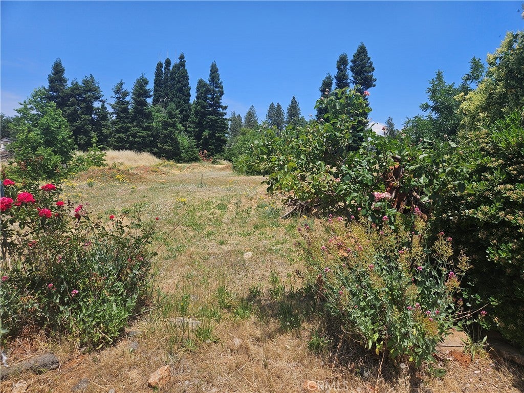 Photo of Listing #SN25187395