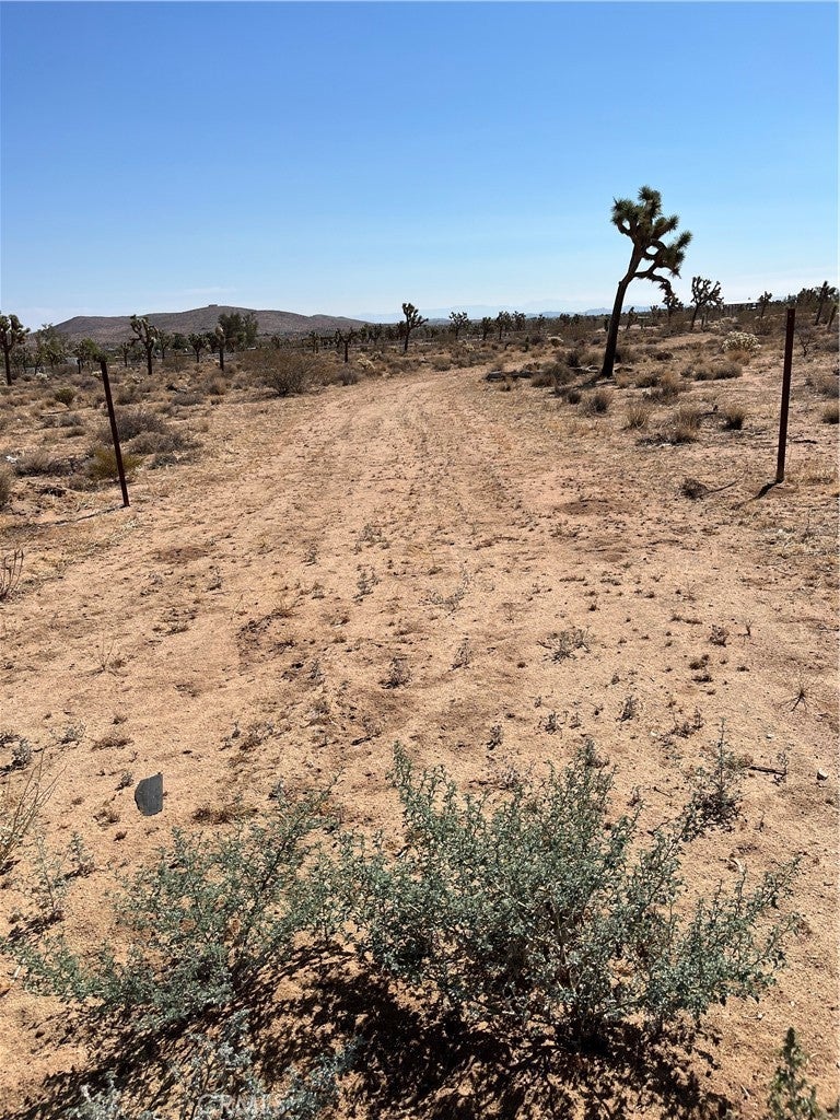 Photo of Listing #JT25190838