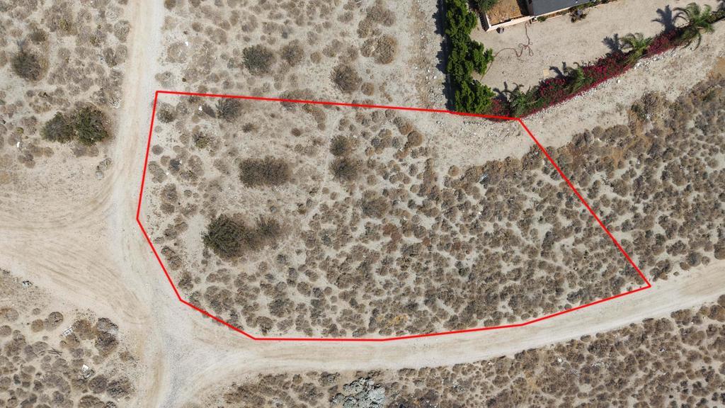 Photo of Listing #219134997DA