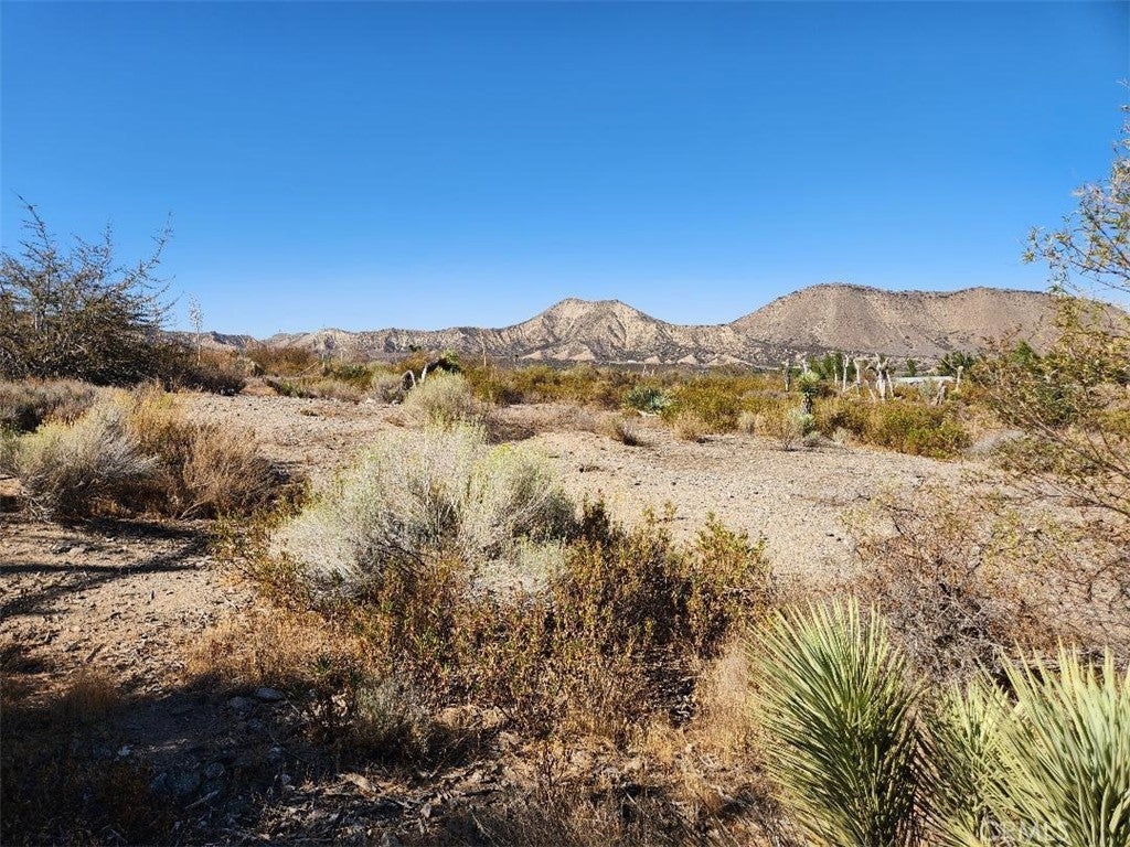 Photo of Listing #IV25214355