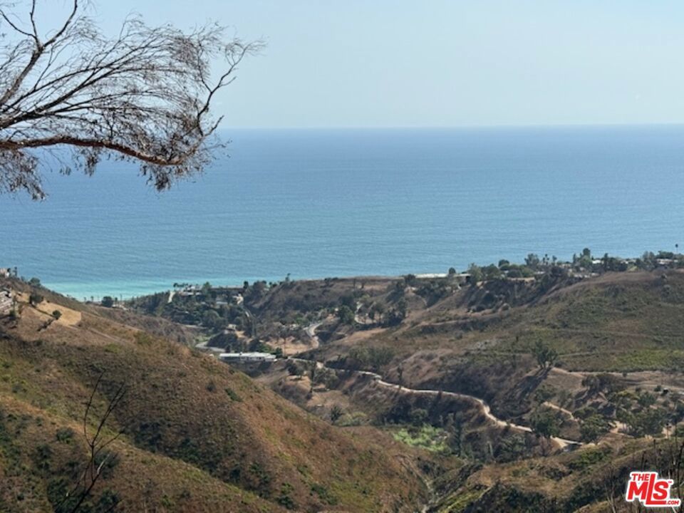 Photo of Listing #25593309