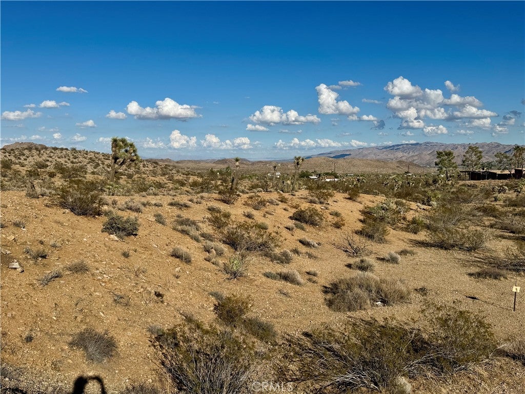 Photo of Listing #JT25221731