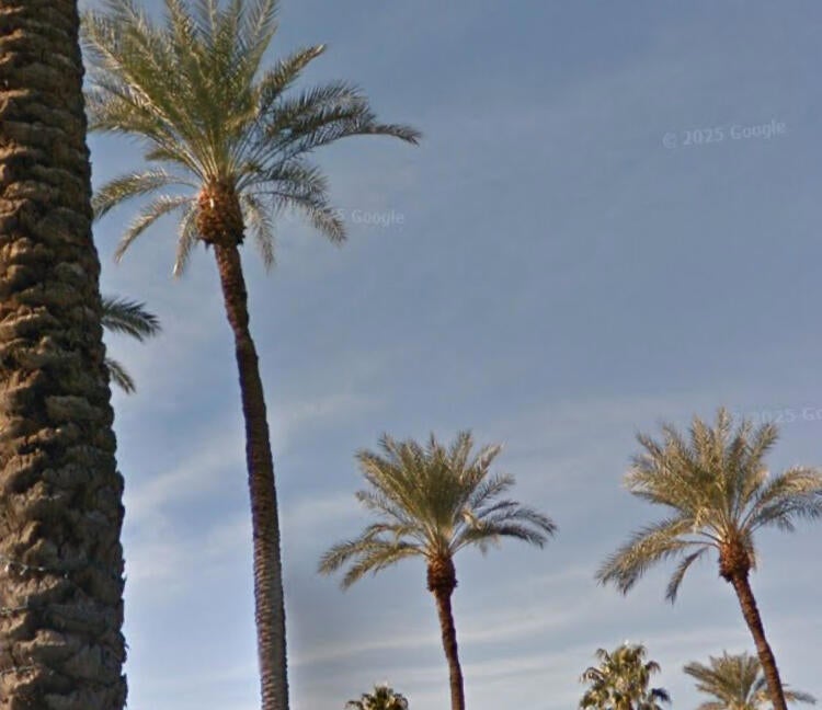 Photo of Listing #219135738DA