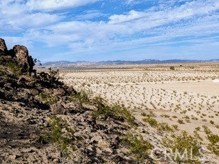 Photo of Listing #JT25222422