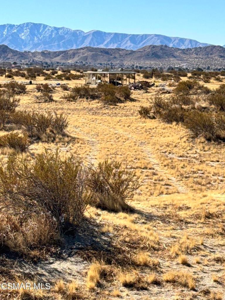 Photo of Listing #225004874