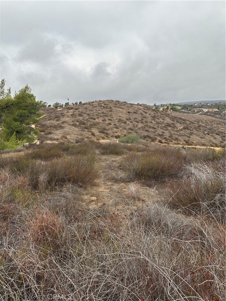 Photo of Listing #SW25226401