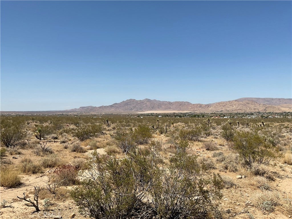 Photo of Listing #HD25230304