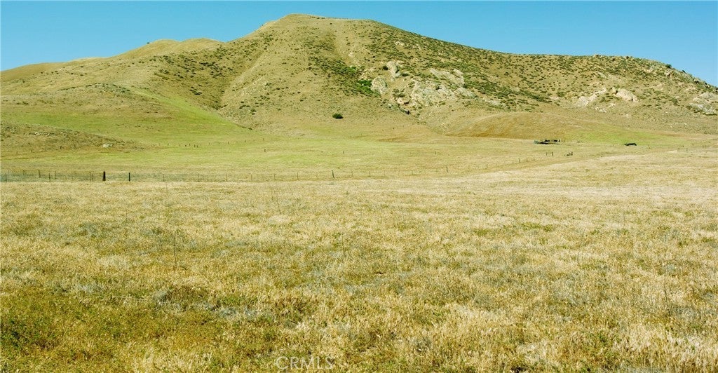 Photo of Listing #PI25237545