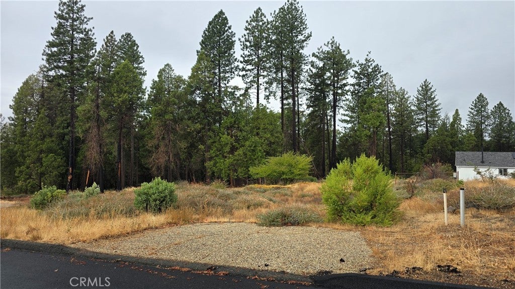 Photo of Listing #SN25241489