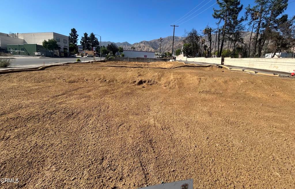 Photo of Listing #P1-24603