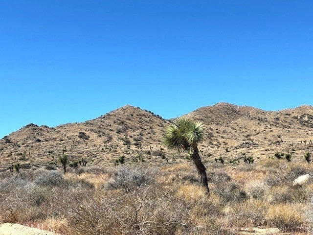 Photo of Listing #JT25243508