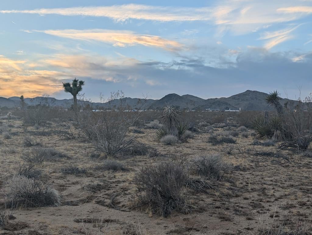 Photo of Listing #219137694DA