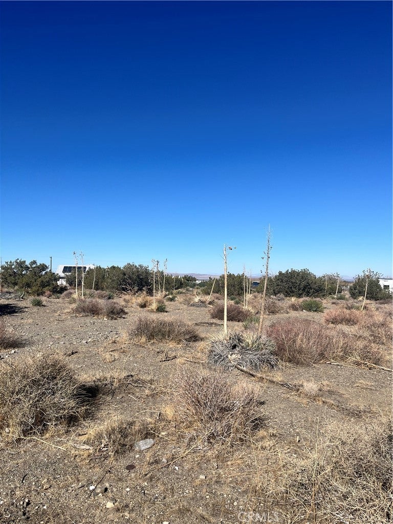 Photo of Listing #HD25252644