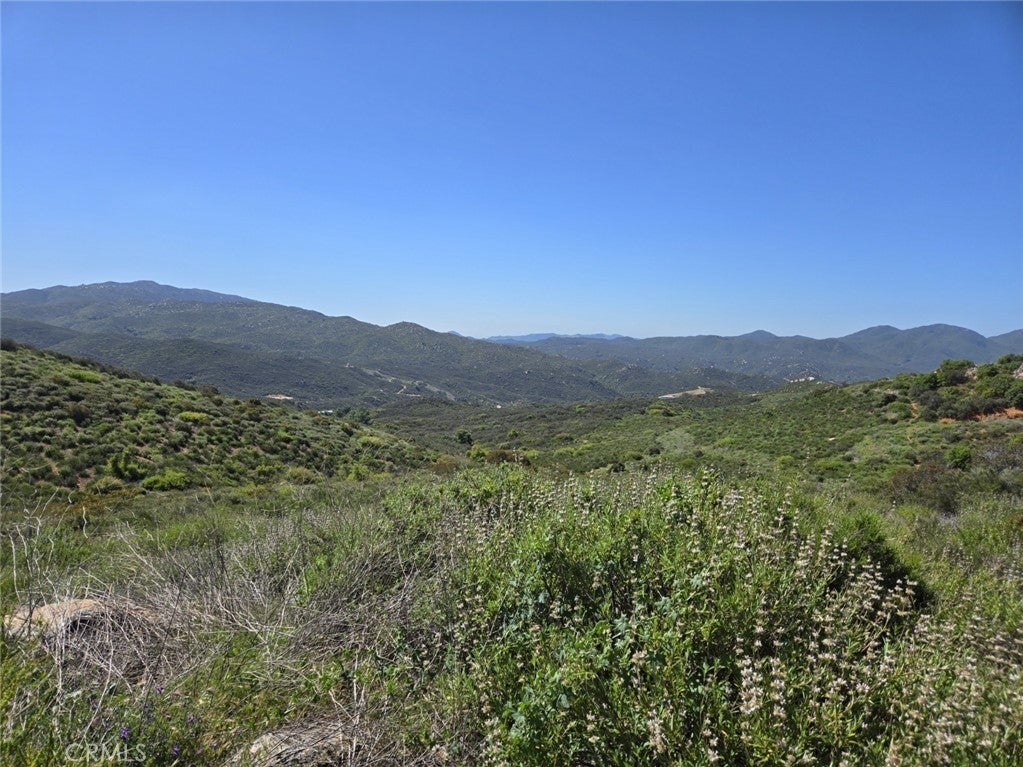 Photo of Listing #SW25257501