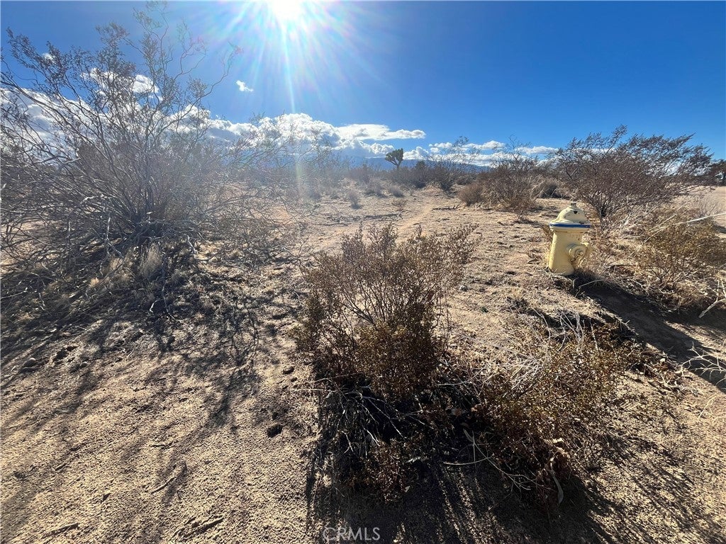 Photo of Listing #HD25263371