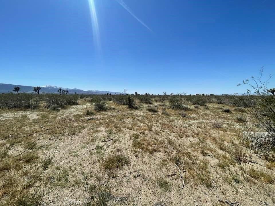 Photo of Listing #HD25271707