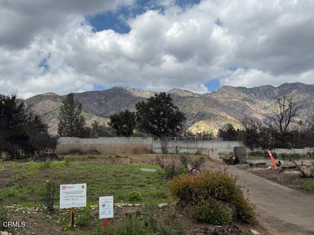 Photo of Listing #P1-25213