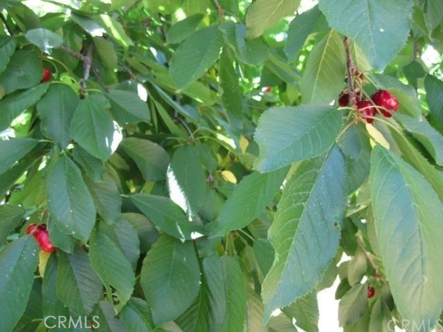 Photo of Listing #OR25278387