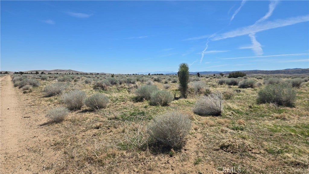 Photo of Listing #SR26010251