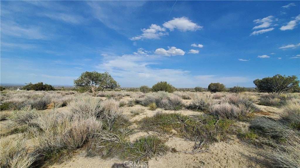 Photo of Listing #SR26011350