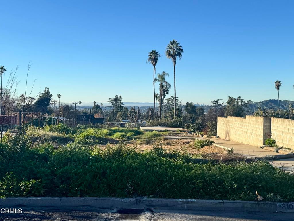 Photo of Listing #P1-25549