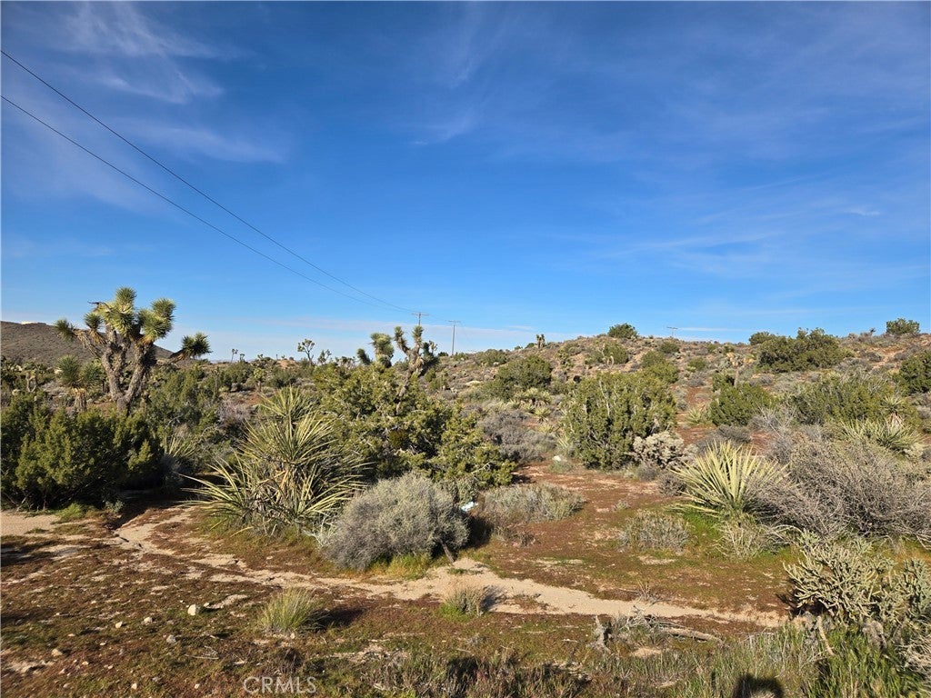 Photo of Listing #JT26038344