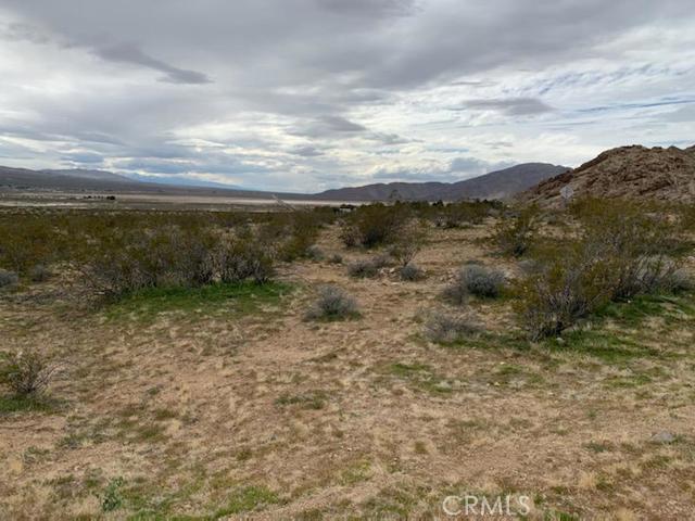 Photo of Listing #535049