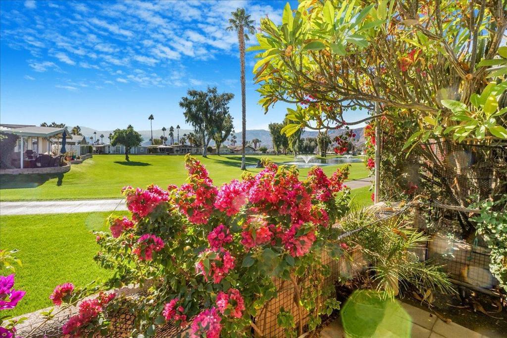 Photo of Listing #219121205DA