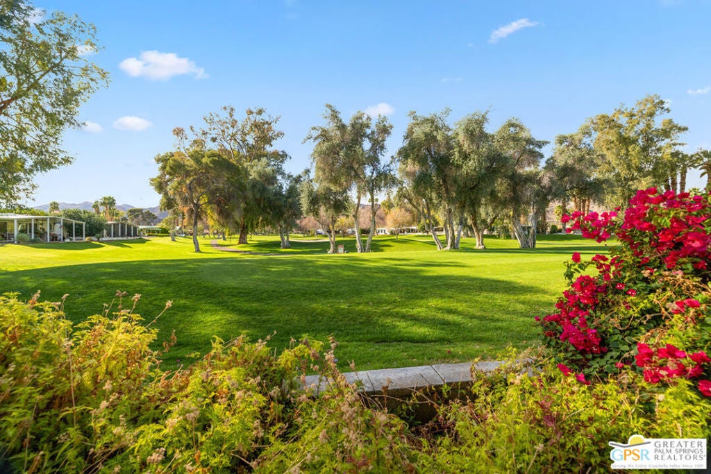 Photo of Listing #25475381