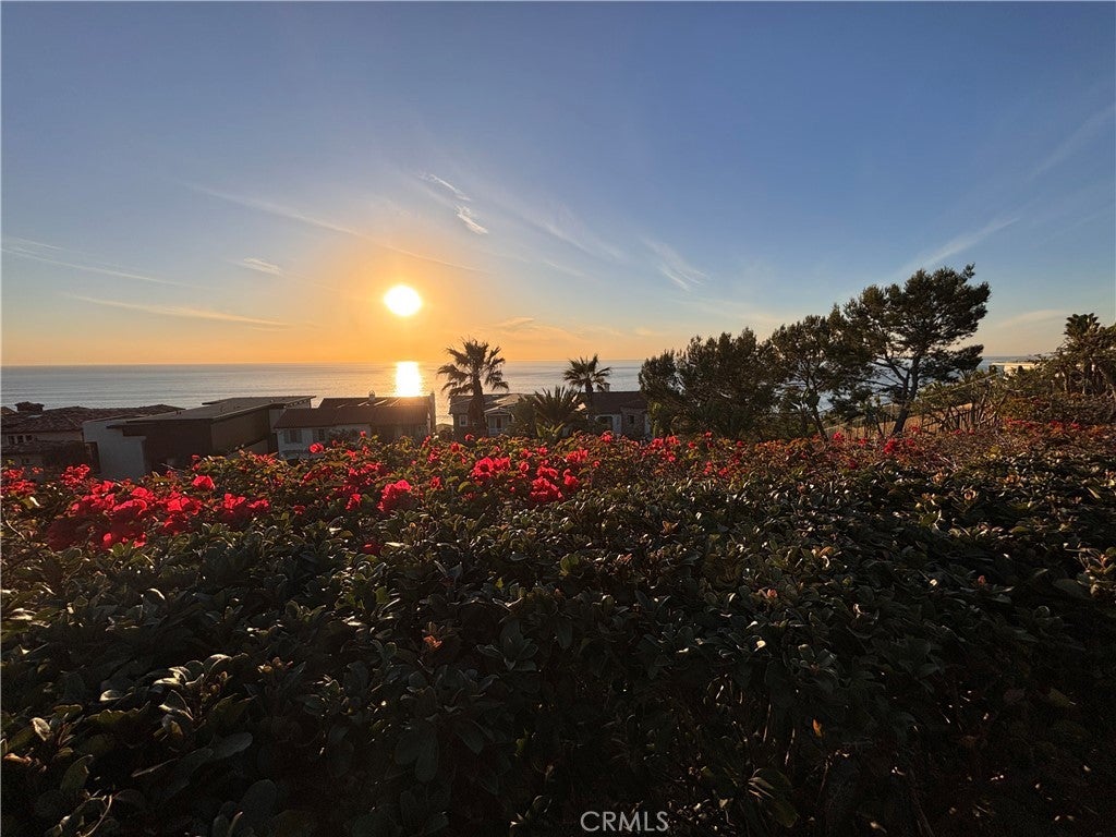 Photo of Listing #OC24248601