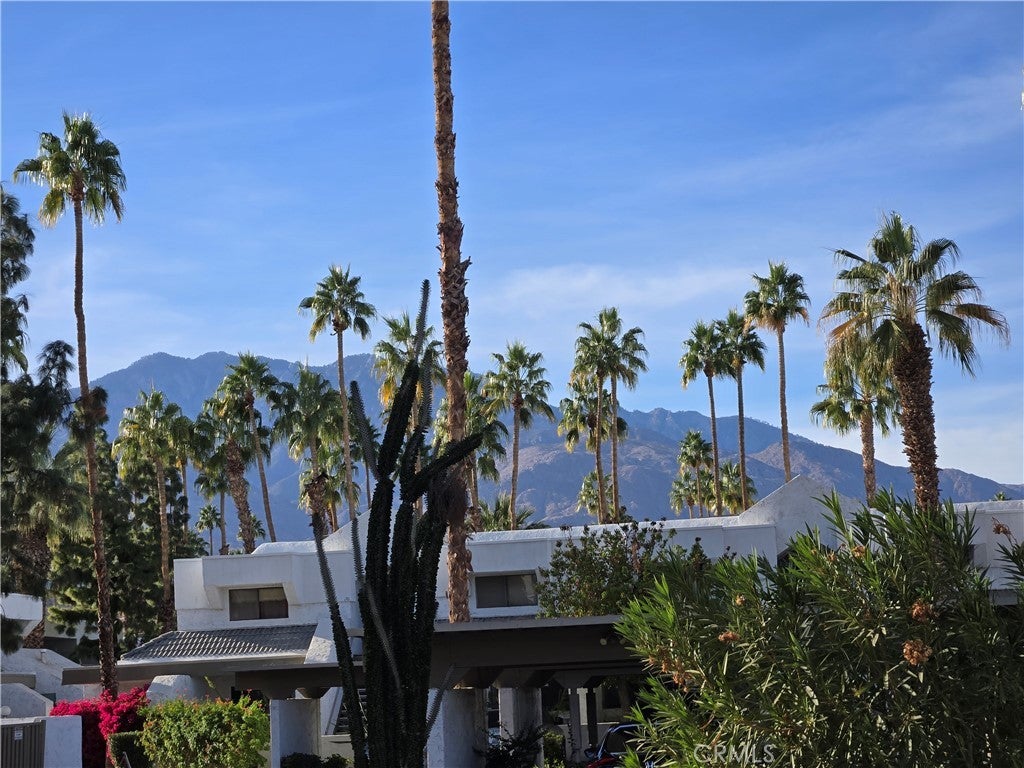 Photo of Listing #IV25003967