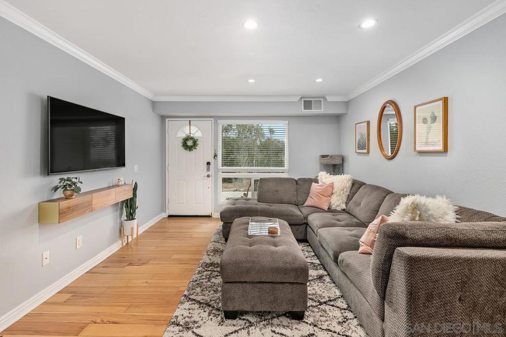 Photo of Listing #250000906SD