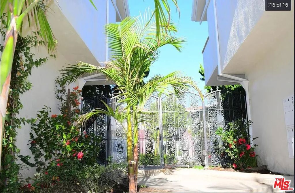 Photo of Listing #25490559