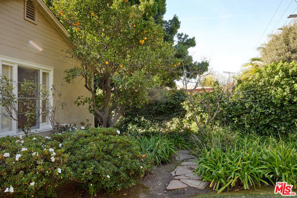 Photo of Listing #25490053