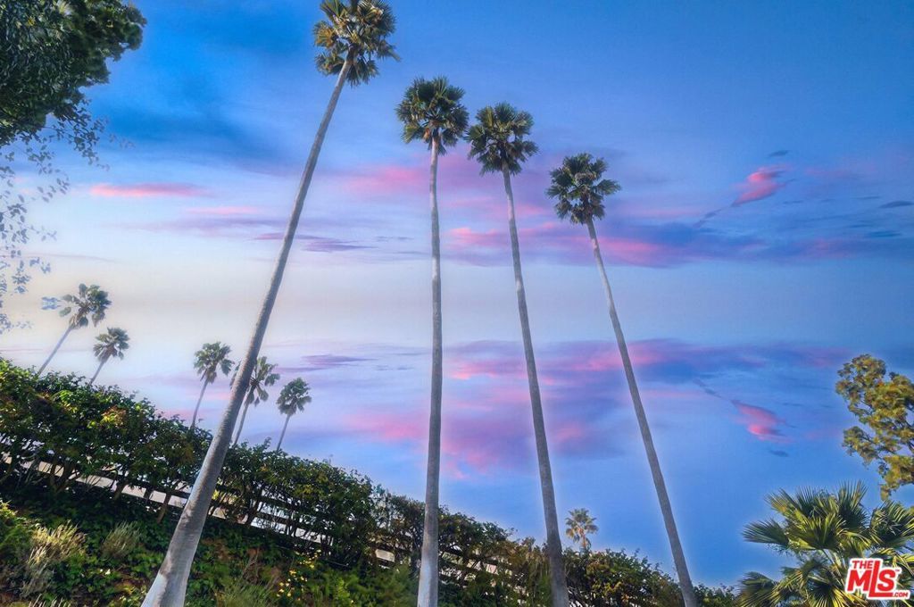 Photo of Listing #25495056