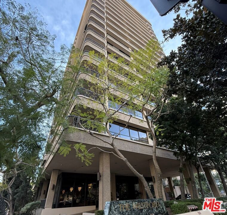 Photo of Listing #25500031