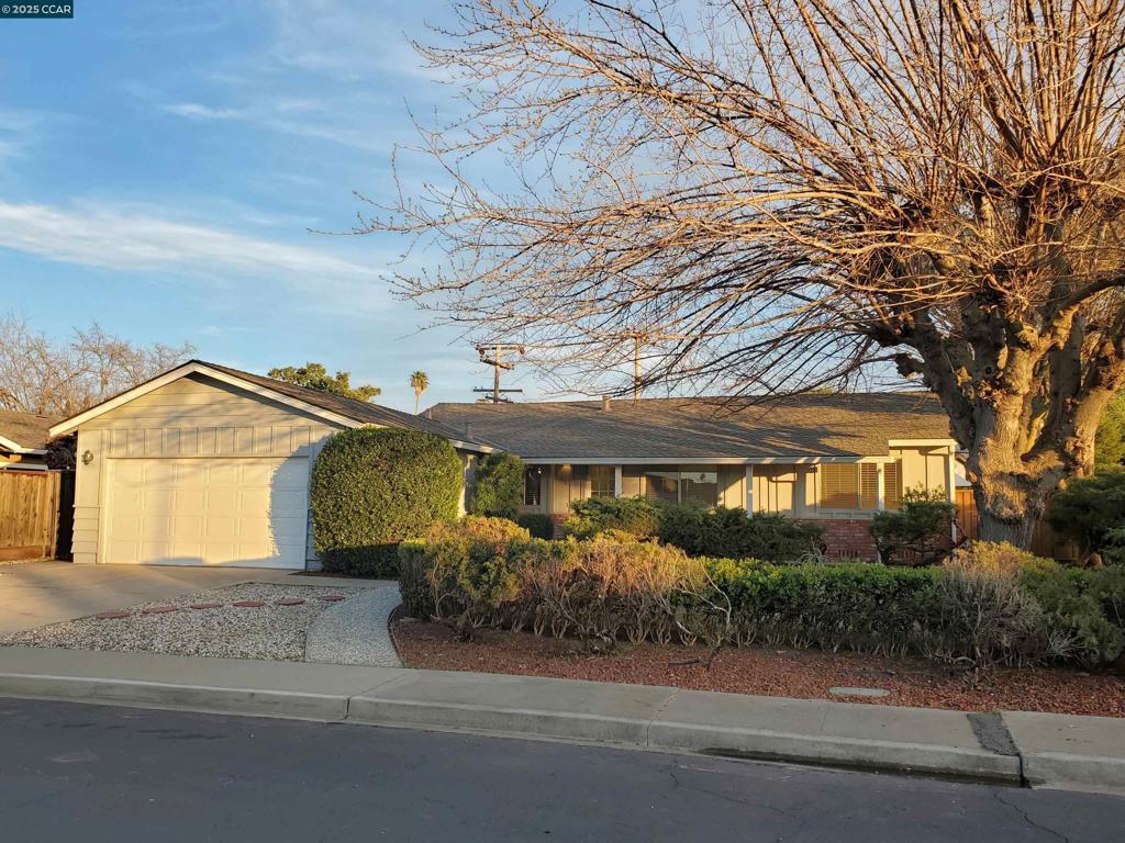 Photo of Listing #41087634