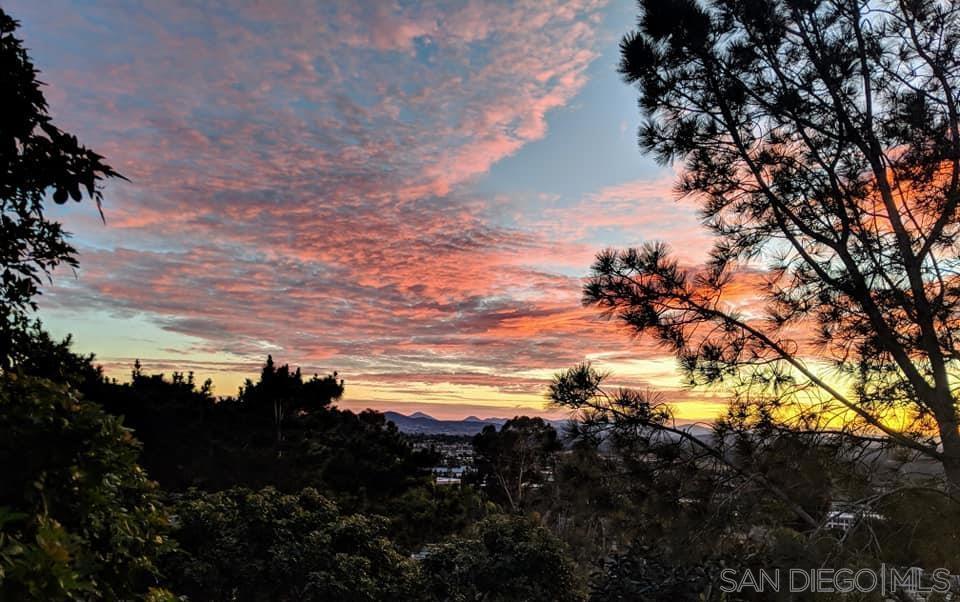 Photo of Listing #250021014SD