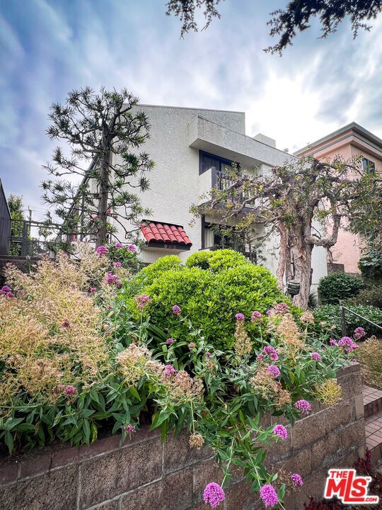 Photo of Listing #25510309