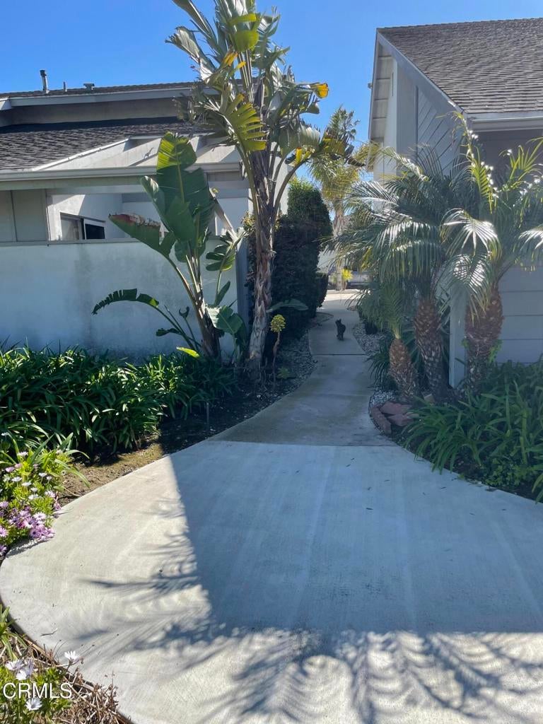 Photo of Listing #V1-28843