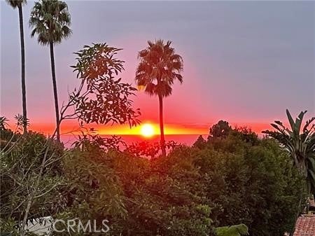 Photo of Listing #PV25072269