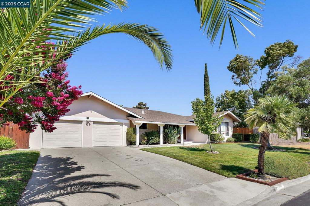 Photo of Listing #41091992