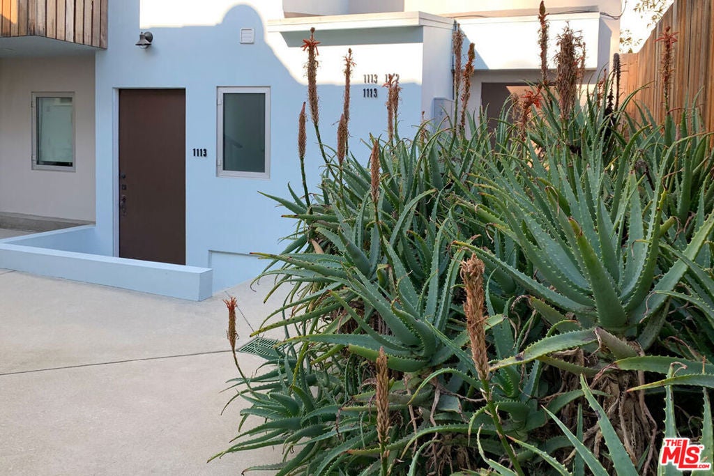 Photo of Listing #25523315