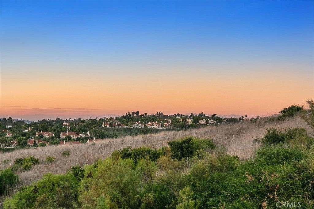 Photo of Listing #OC25085420