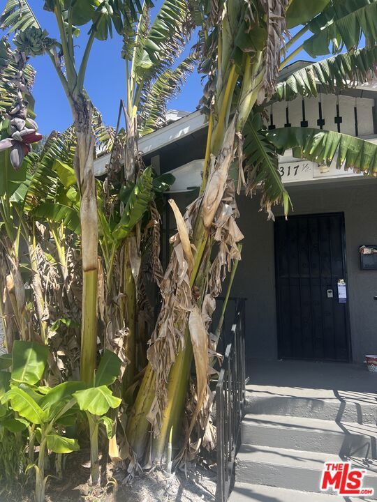 Photo of Listing #25536511