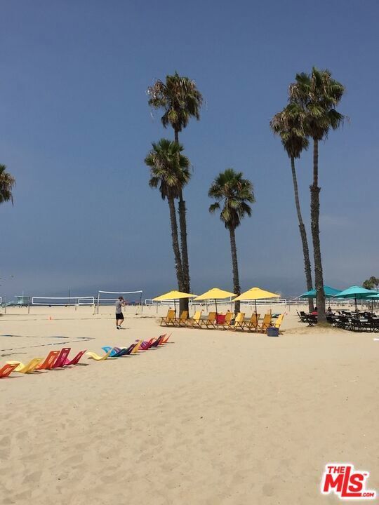 Photo of Listing #25538527