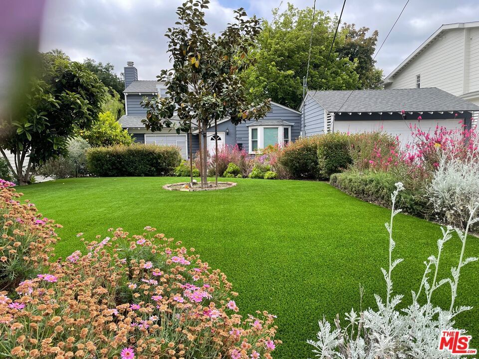 Photo of Listing #25541801