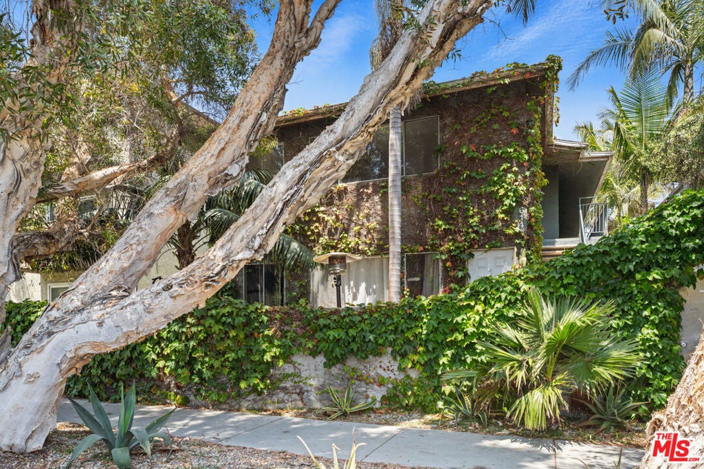 Photo of Listing #25558639